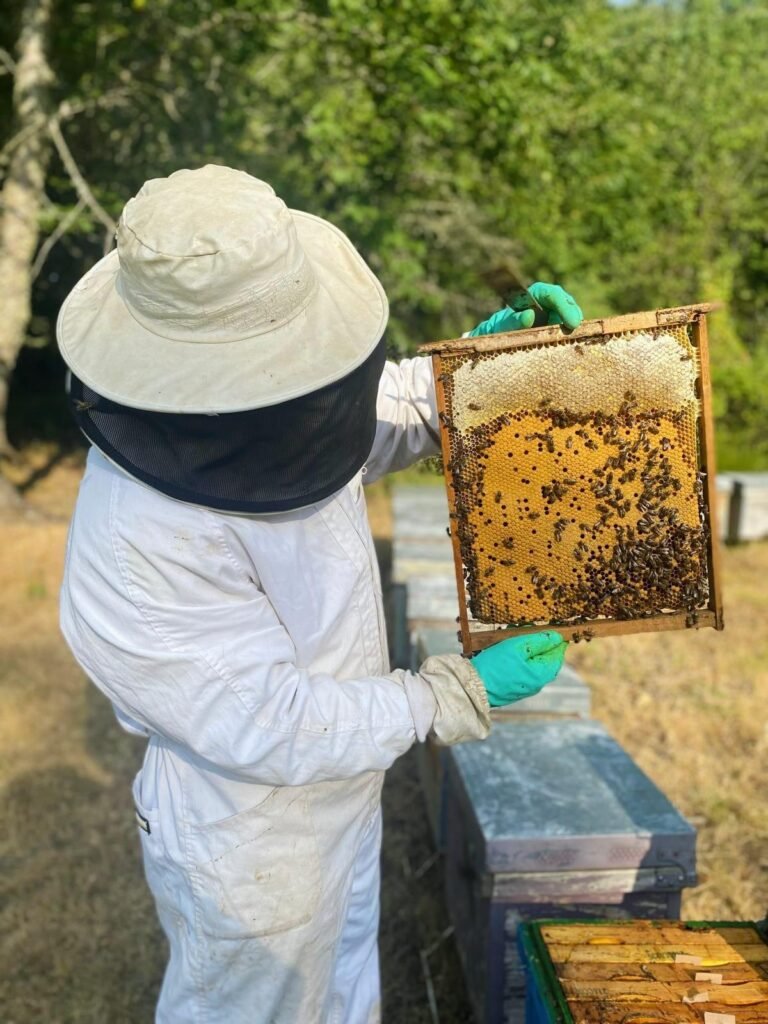 Apicultor sosteniendo un cuadro de miel pura recién sacado de la colmena